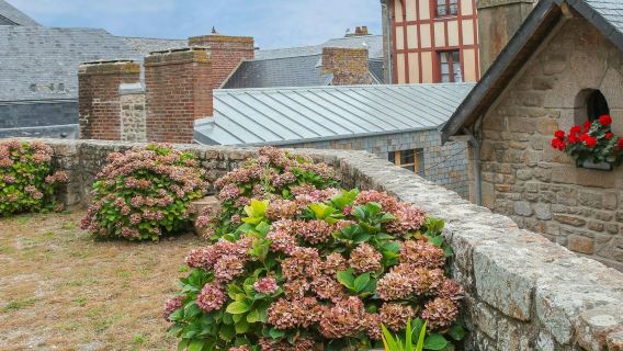 Mont Saint-Michel: Entry Ticket and Guided Tour + Transport from Paris