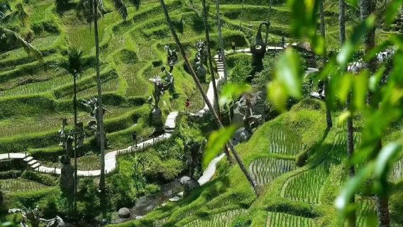 Excursión de un día en coche privado por el Palacio de Ubud + Mercado de Ubud + Arrozales en terrazas de Tegallalang + Templo Tirta Empul en Bali