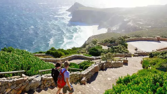 Desde Ciudad del Cabo, Sudáfrica: Excursión de un día a Punta del Cabo, Cabo de Buena Esperanza y la playa de los pingüinos en Boulders