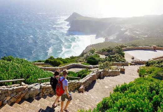 Cape Town day tour to Cape Point, Cape of Good Hope, and Boulders Beach