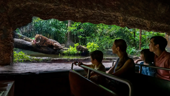 [ทัวร์กลุ่มเล็กแบบยืดหยุ่น] เที่ยวชมสวนสัตว์และสวนพฤกษศาสตร์ชื่อดังรวมถึงมหาวิทยาลัยชั้นนำใน 1 วัน