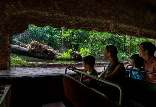[Flexible Small Group] One-Day Tour to Top Zoos, Botanical Gardens & Prestigious Universities