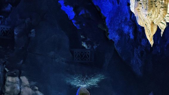 Excursión de un día a la Cueva de Zhijin y el Gran Cañón de Zhijin (salida desde Guiyang) con servicio en chino e inglés