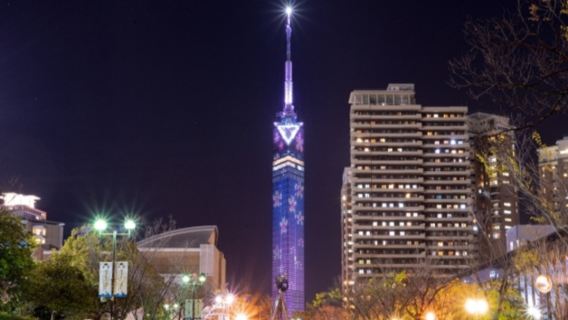 ตรอกยาไตนาคาสุ + ฟุกุโอกะทาวเวอร์ + ทัวร์ครึ่งวันแม่น้ำนาคะ (ชมวิวกลางคืนนาคาสุ ฟุกุโอกะ)