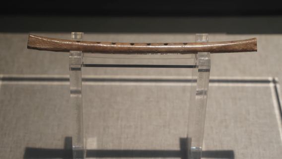 [Termasuk Tempahan Tiket Masuk] Muzium Henan | Penerangan 2H oleh Pakar - Lawatan Peribadi/Pakej Berkumpulan | Termasuk Alat Pendengaran