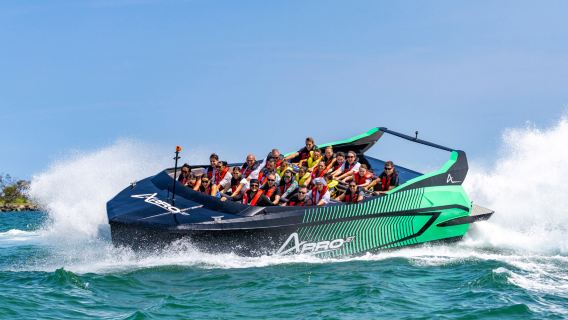 Gold Coast Arro Jet Speedboating Adventure
