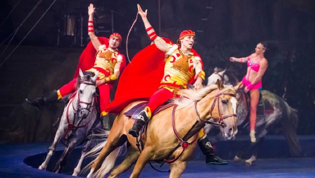 【春假/五一假期·賞馬戲】廣州長隆國際大馬戲半日遊