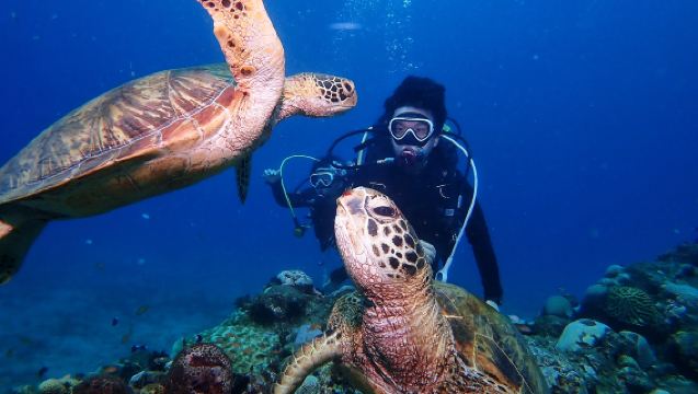 Expérience de plongée sous-marine ou snorkeling de 2 heures à l'île de Liuchiu à Pingdong [Club de sports nautiques Poséidon - Expérience de snorkeling/plongée sous-marine à Xiao Liuchiu]