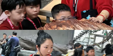 大笙說·上海自然博物館|私家團特別優惠|可選包含車票|2小時趣味互動|含耳機