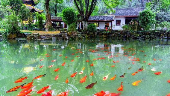 Passeio privativo de 1 dia em Hancheu: Passeio de barco no Lago Oeste, Templo Lingyin, Vila Antiga Fayun e Plantação de Chá Longjing