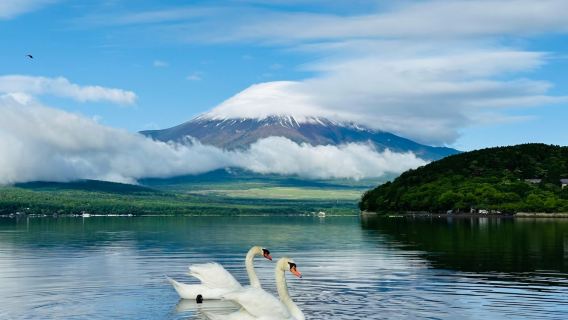 Popular instagram-famous bus | 1-day tour to Mount Fuji from Tokyo in Japan - Lake Kawaguchi + Oshino Hakkai + Lawson