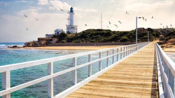 1-day tour to Mornington + Bellarine with ferry lunch + lighthouse + rainbow cabins