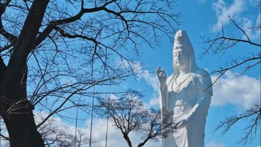 日本仙台城跡（青葉城跡）+大崎八幡宮+大觀音像包車一日遊