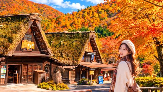 Nagoya Hida Takayama + Shirakawa-go gassho village 1-day tour, world cultural heritage