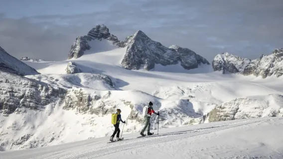 Dachstein Krippenstein: Yeti Snowshoe Ticket