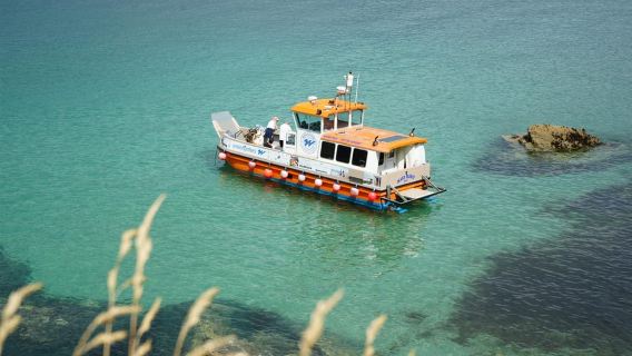 Πάντστοου: Θαλάσσια σαφάρι με ξενάγηση στην τοπική πανίδα - Περιήγηση με σκάφος RIB