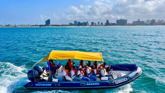 Durban: 30-Minute Harbor Boat Cruise