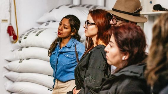 Munich's Beer Halls and Breweries: 3-Hour Guided Tour