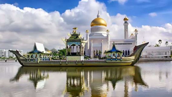 Lawatan ekologi sehari Hutan Bakau & Kampong Ayer Brunei (sewaan peribadi bahasa Cina untuk lawatan sehari dari lapangan terbang, pelabuhan, hotel)