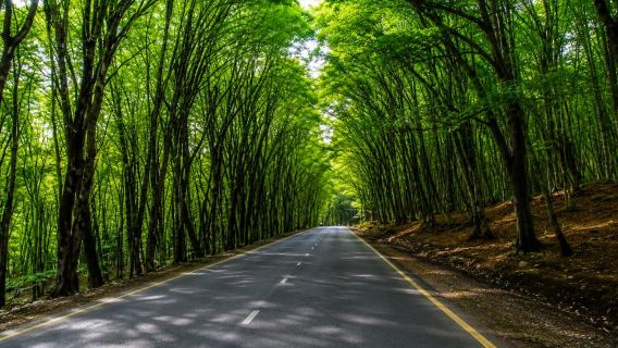 Baku : Shahdag Mountain Resort, Candy Mountains, Group Tour