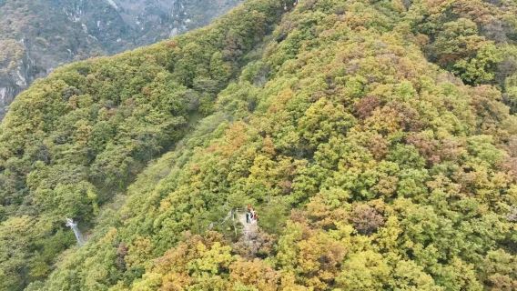 牛背樑國家森林公園+終南山寨一日遊【賞秋景，逛古寨】