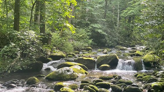 Tennessee