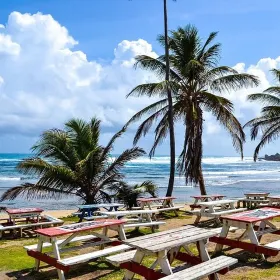 Learn About Barbados See in a Rum & Soak Beach Tour 