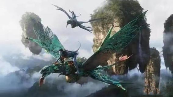 Private Tour in Zhangjiajie National Forest Park with Avatar Mountain