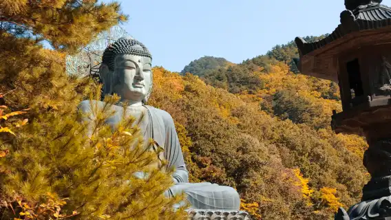 韓國江原道雪嶽山國立公園+洛山寺一日遊【首爾出發 • 中英文導遊】
