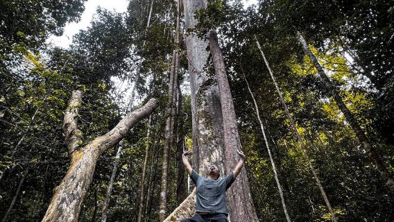 Trekking nel Parco nazionale di Taman Negara: tour giornaliero con partenza da Kuala Lumpur