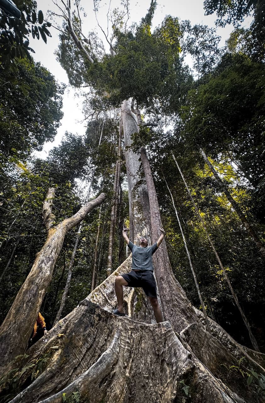 Taman-Negara-Nationalpark Wanderung Gemeinschafts-Tagesausflug ab Kuala Lumpur