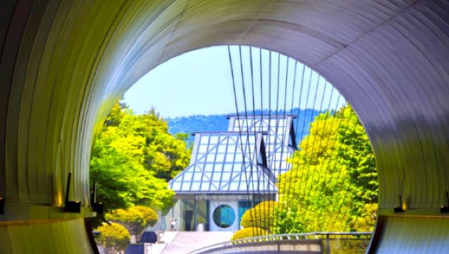 名古屋出發|MIHO美術館彥根城商店街一日盡攬|穿越櫻花隧道