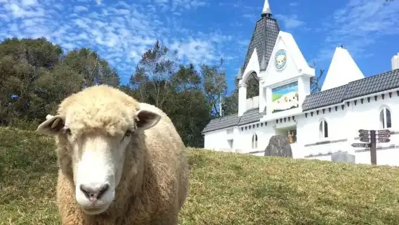 Sun Moon Lake, Qingjing Farm Day Tour [Taichung City Hotel Pickup]