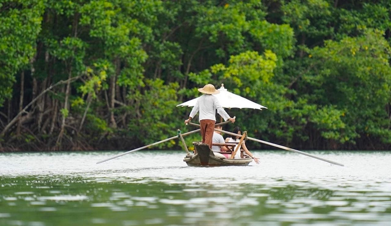 Ko Chang: Tour en góndola por el bosque de manglares