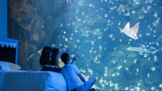 TaoyuanExperiences