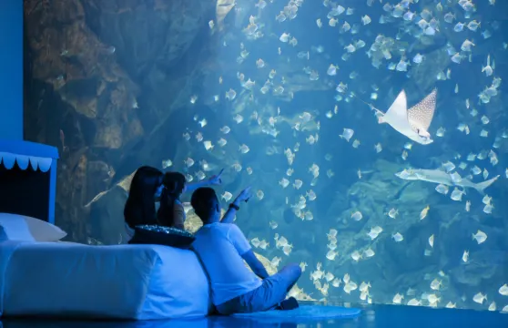 Xpark夜宿體驗|Blu Night宿海奇遇