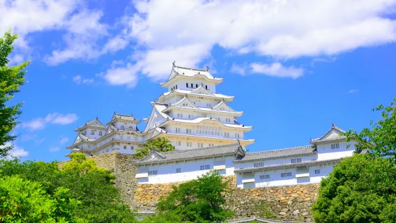 Thành Himeji + Vườn Koko + Làng suối nước nóng Arima + Tour 1 ngày núi Rokko