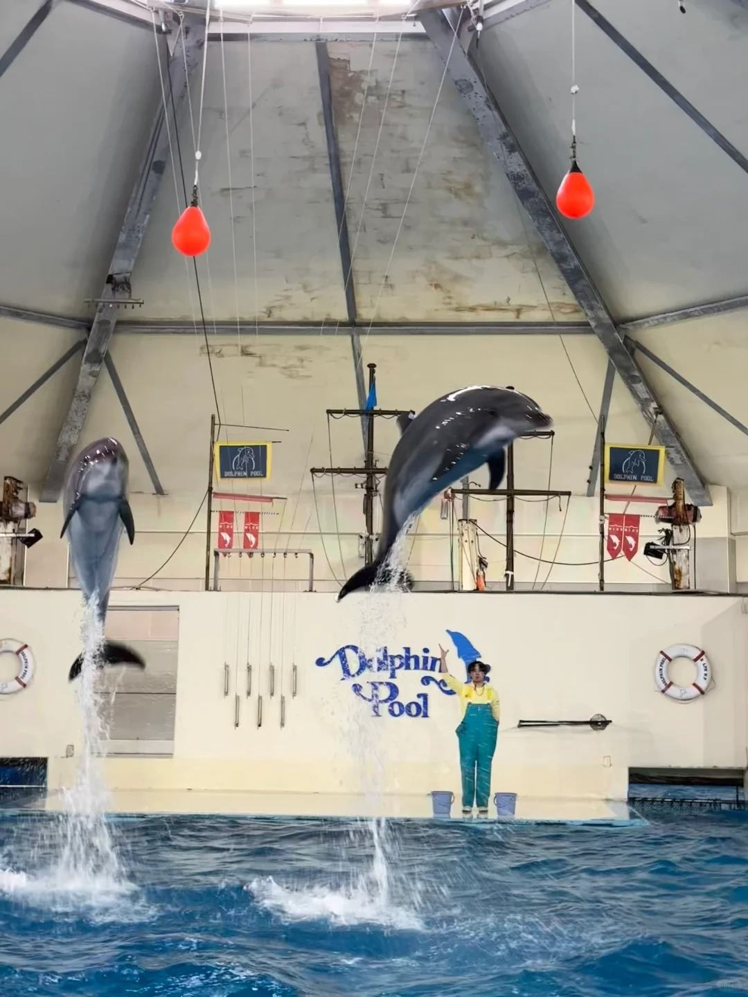 日本登別小樽洞爺湖地獄谷-可札幌富良野美瑛北海道包車精選
