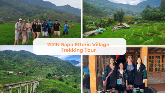 Sapa