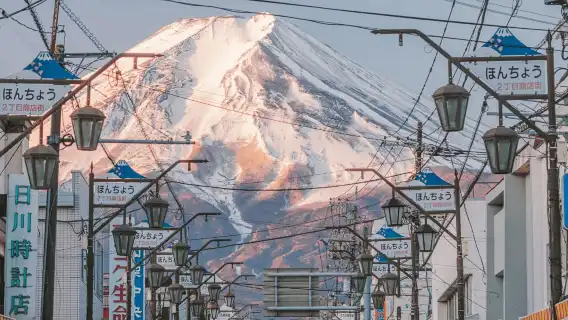 富士山河口湖+本棲湖+忍野八海一日遊,賞花路線