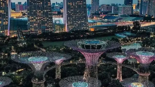 Singapore Flyer + Gardens by the Bay + Esplanade - Theatres on the Bay, Singapore + Merlion Park + The Helix Bridge