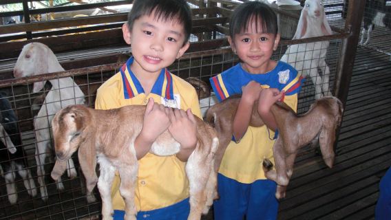 tour privado por el día de la cultura gastronómica y agrícola en Kluang, Johor, Reino Unido (incluye entrada). Salida desde Johor Bahru.