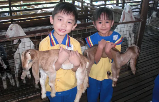 柔佛居鑾UK Farm+壁畫+咖啡廠日遊【包門票】新山出發