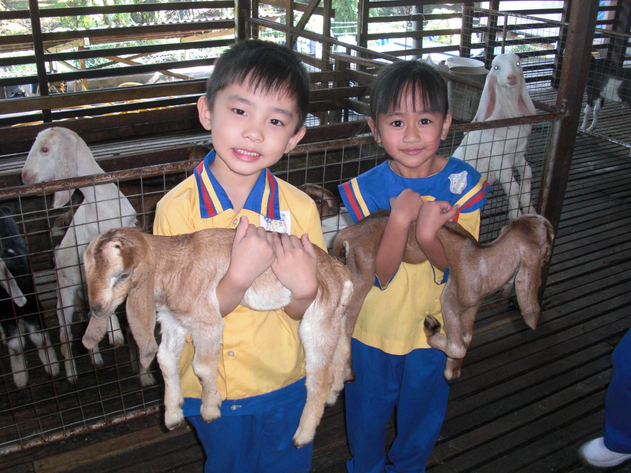 Johor Kluang UK Farm + Murals + Coffee Factory Day Tour [Includes Admission Ticket] Departing from Johor Bahru