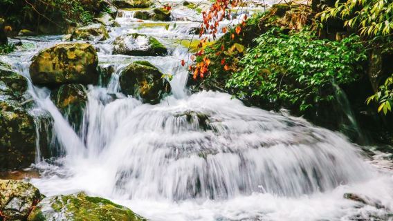 千島湖紅山谷設施半日遊【森林吸氧|休閒漫步|避暑勝地】