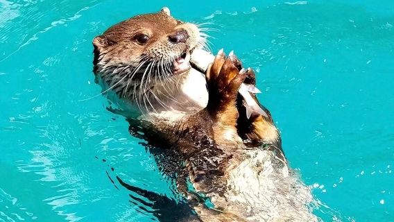 Jiuzhaigou + Ferrovia ad alta velocità Huanglong 2 giorni + Hotel incluso - Sistemazione e trasporto senza pensieri - Intimo e garantito