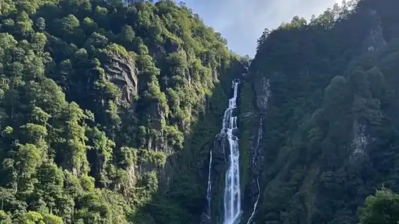 Mount Emei Scenic Area Private Tour