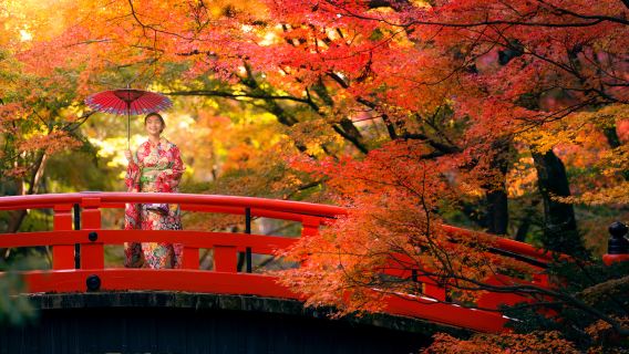 Otoño en Kioto: Cascada de Minoh + Pabellon Dorado + Tren de Arce Rojo + Bosque de Bambú de Arashiyama (Salida desde Osaka)