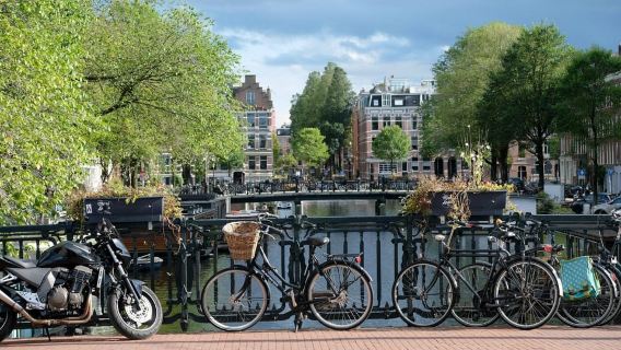Amsterdam: Private Half-Day Guided Tour