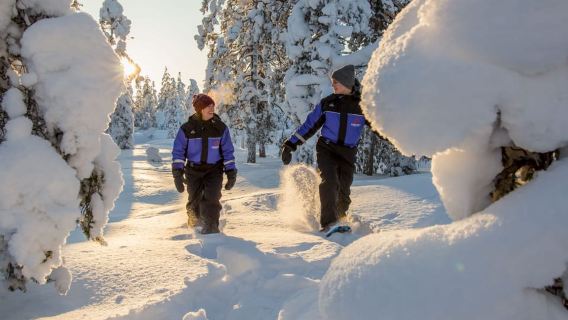 Rovaniemi: Aventura guiada con raquetas de nieve por la naturaleza lapona